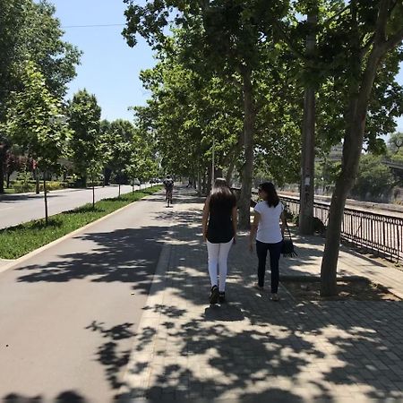 Departamento De Lujo 1 En Barrio Bellavista Διαμέρισμα Σαντιάγκο Εξωτερικό φωτογραφία